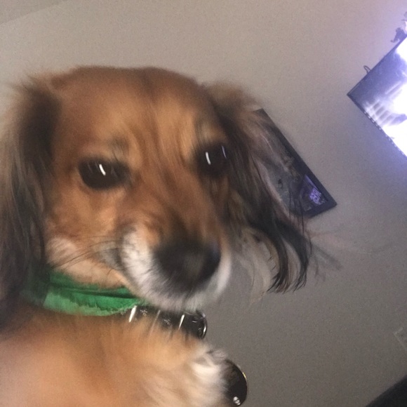 Meet your Posher, Paula - Picture 1 of 1